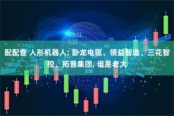 配配查 人形机器人: 卧龙电驱、领益智造、三花智控、拓普集团, 谁是老大