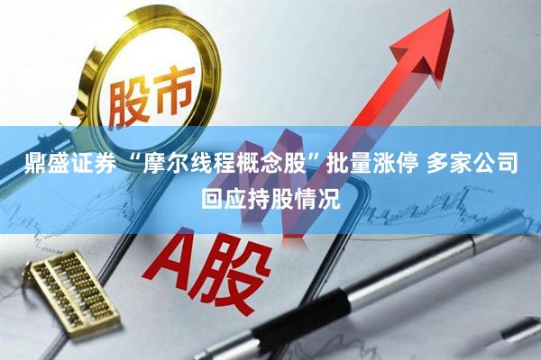 鼎盛证券 “摩尔线程概念股”批量涨停 多家公司回应持股情况