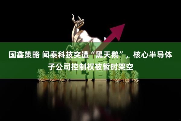 国鑫策略 闻泰科技突遭“黑天鹅”，核心半导体子公司控制权被暂时架空