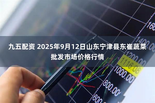 九五配资 2025年9月12日山东宁津县东崔蔬菜批发市场价格行情